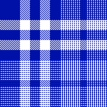 Ardley Check Bus Shirt