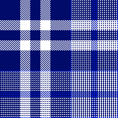 Ardley Check Bus Shirt