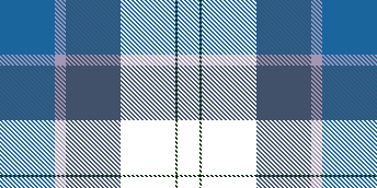 WVE