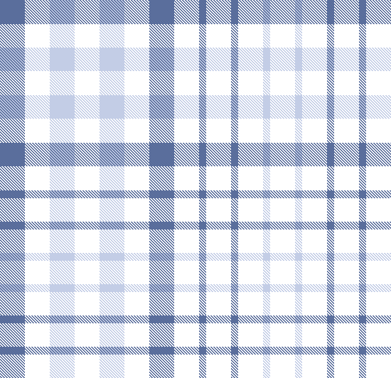 SOFTER PLAID 2