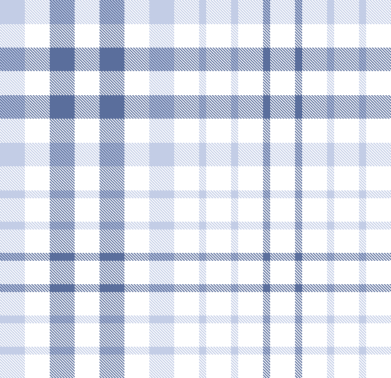 SOFTER PLAID 3