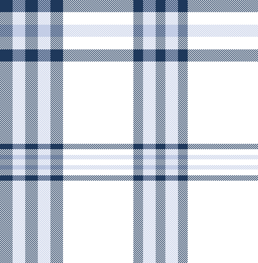 kate plaid long