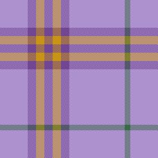 capretta plaid 2