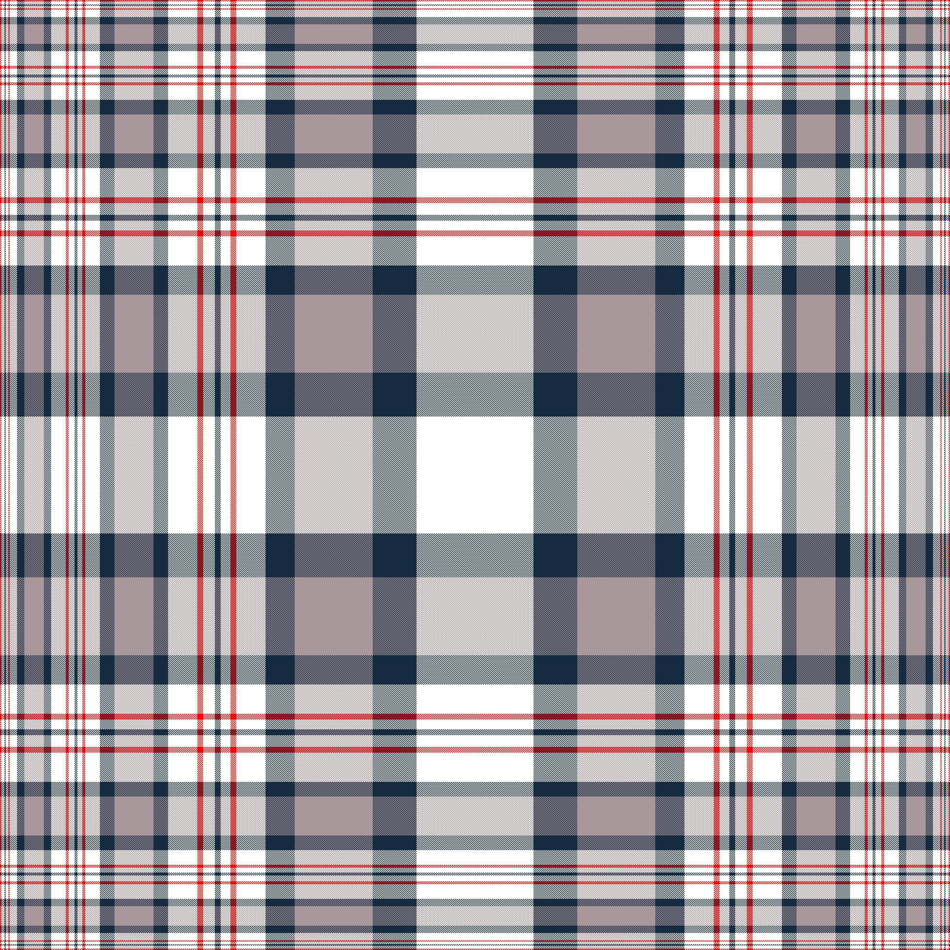 RWBG Progressive Plaid