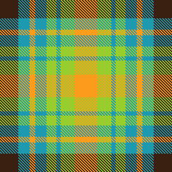 TB more plaid