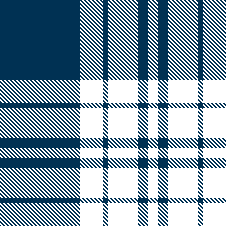 plaid 1 - 2 colors - 2x2 weave