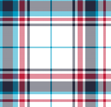 PrintedPlaid8_GLF