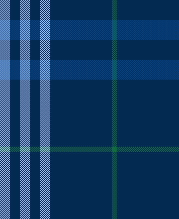 plaid cape 3