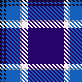 Dolphin6