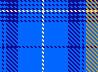 Dolphin10