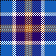 Dolphin16