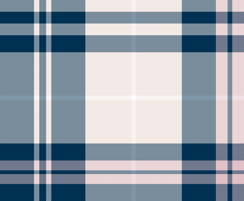 blush and navy plaid