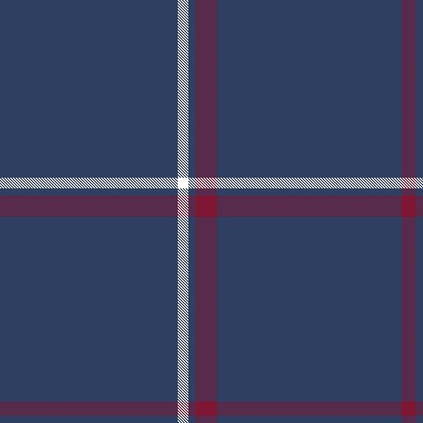 navy check 1