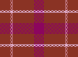 Chris Skirt Plaid