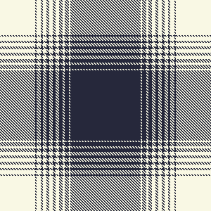 2 COLOR PLAID