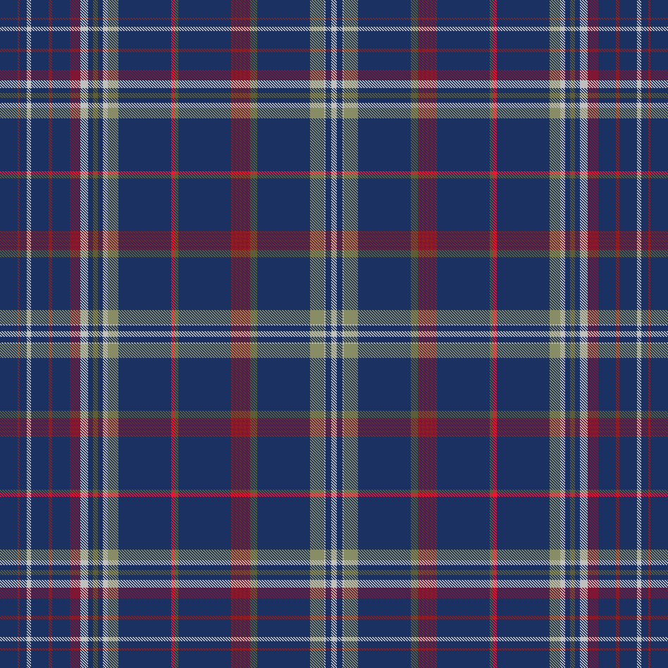 plaid7