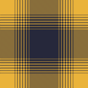 plaidss