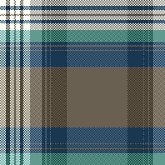 IlanPlaid10/14