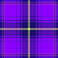 Homecoming Purple Indigo