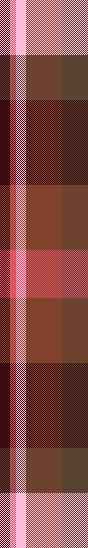 Pinks and Browns