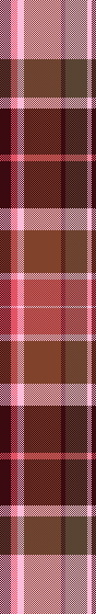 Final Weightman Plaid