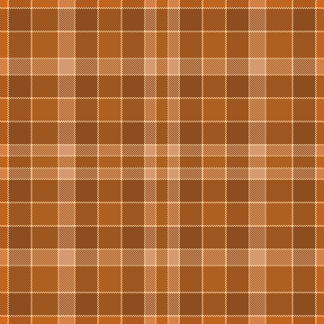 Brown Shawl V5 Plaid