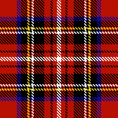 stuart chunky classic