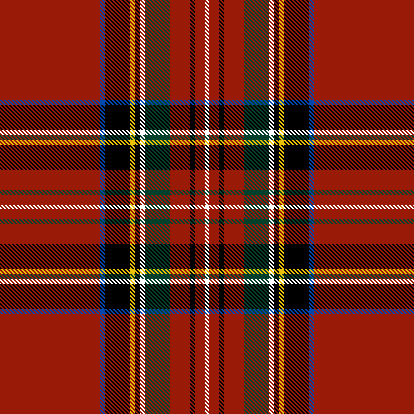Padma - tartan 4