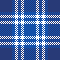 Navy check