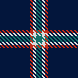 SS20 Checks 05 B