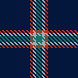 SS20 Checks 05 C