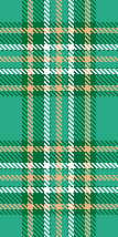GuinnessJersey