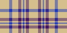 Camel blue and purple plaid scarf