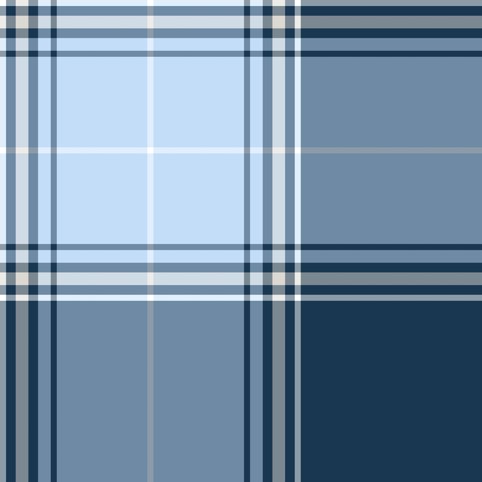 Navyblueplaid