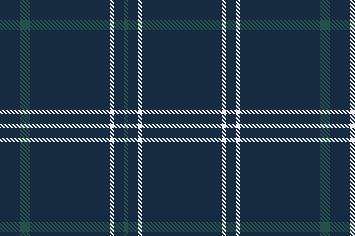 Navy Plaid