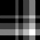 SS