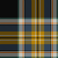 STUDANNEWCOLOR