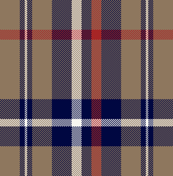 Scarf plaid mock up 06 - khaki colorway