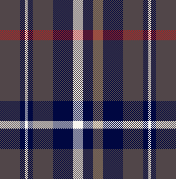 Scarf plaid mock up 06 - charcoal