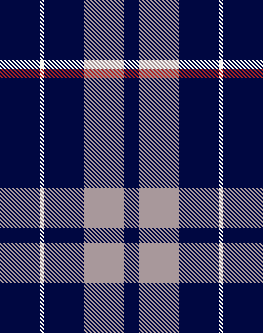 Scarf plaid mock up 03 - navy