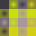 Mustard dreams 3