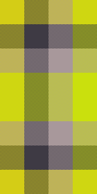Mustard dreams 7