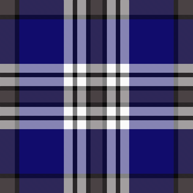Plaid Goth 3