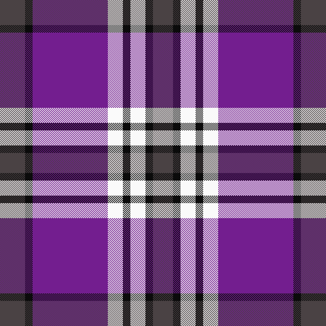 Plaid Goth 4