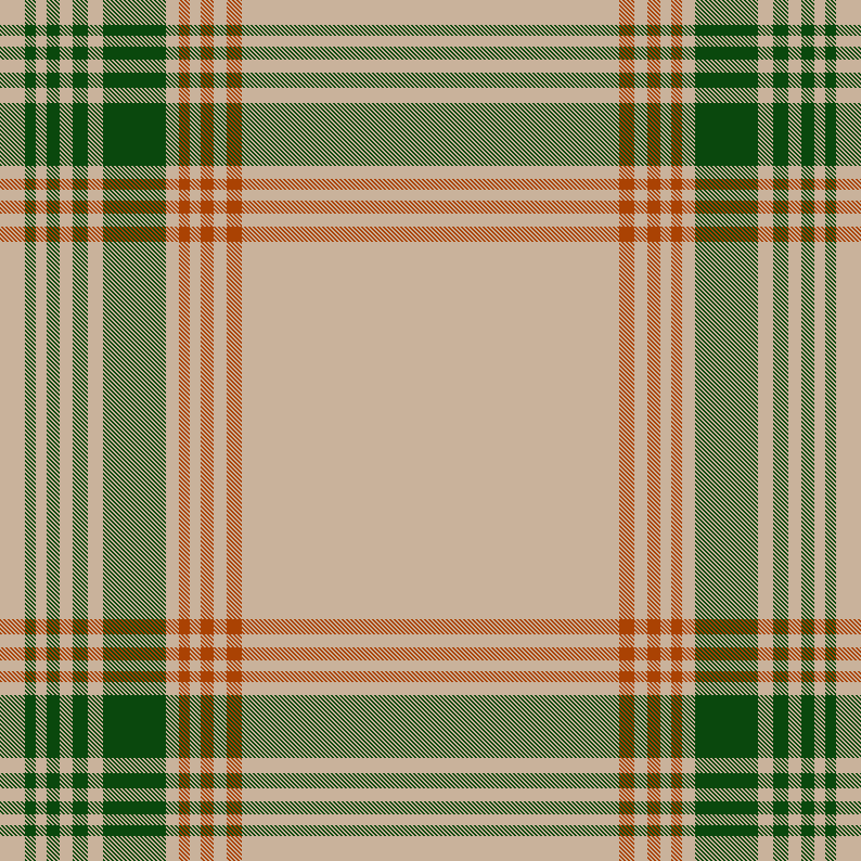 f21-plaid-5