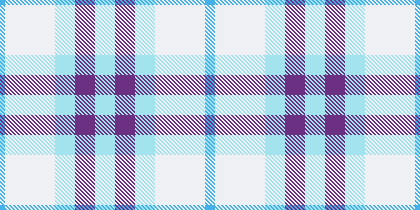 Rarity Burberry