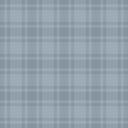 simplified blue grey plaid