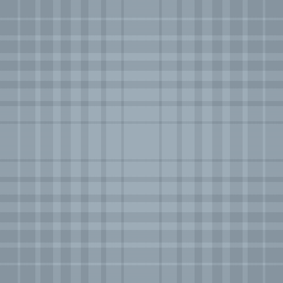 blue grey plaid 2