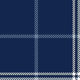 Rahul pant check Design 01 N Blue