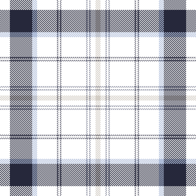 Plaid Pattern #006